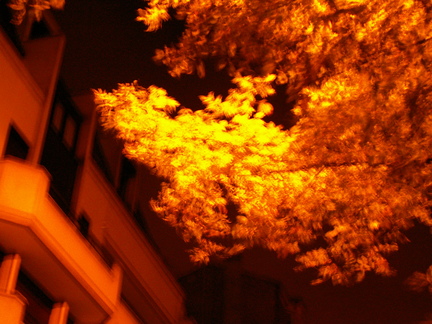 20061022 042137